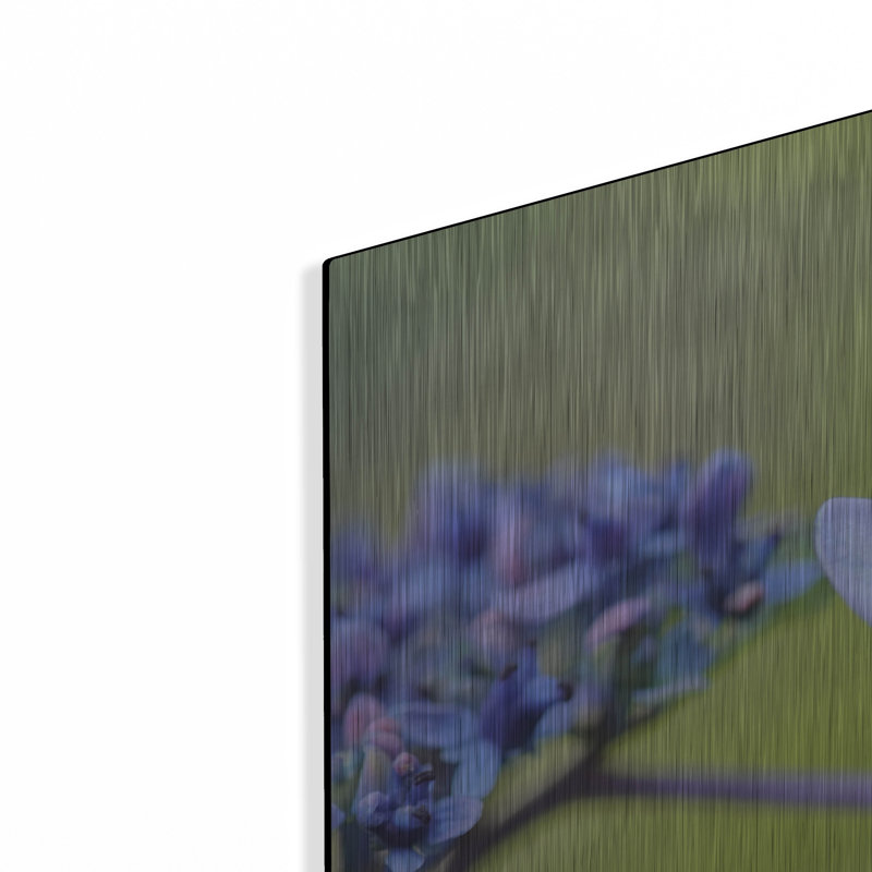 «Blue HCora Nieleydrangea» par Cora Niele, H 24 po x l 36 po