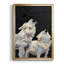 Midnight Wolves - impression d'un seul cadre photo-1034005329-1034005334