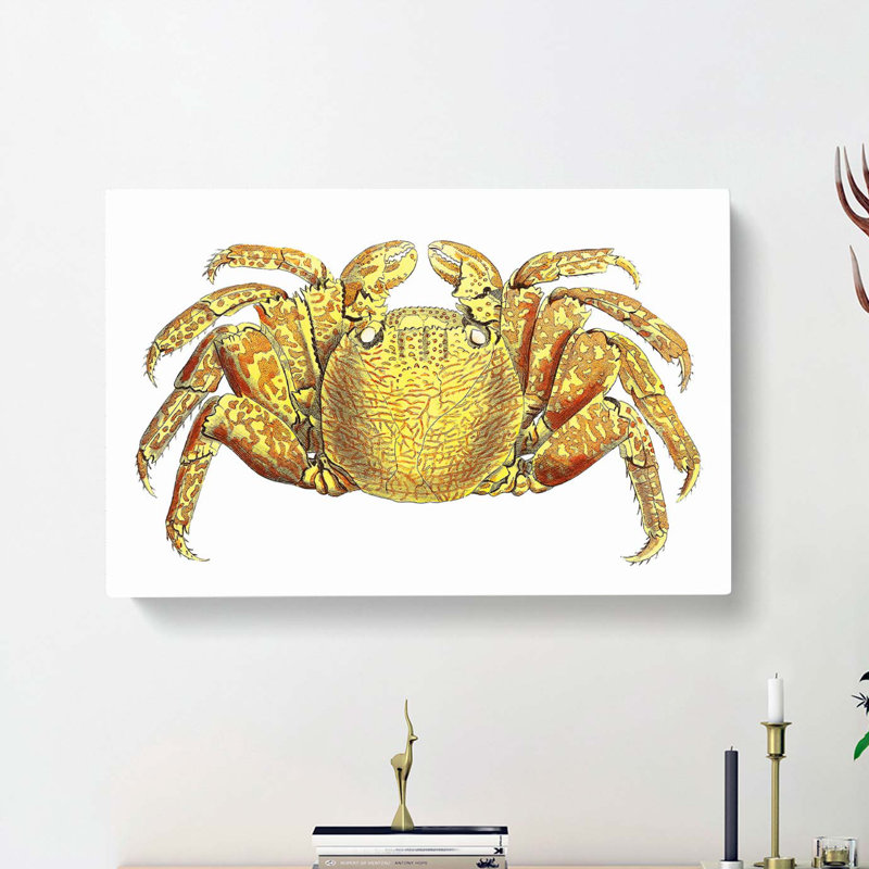 Crab by George Shaw - Wrapped Canvas Painting, 35cm H x 50cm W x 3cm D
