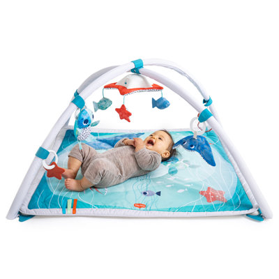 The Ocean Baby Gym