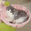Arbre à chat d'intérieur compact-1680681674