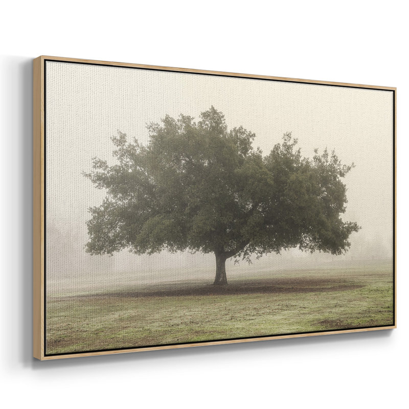 Arbres dans le brouillard II, H 27 po x l 41 po x P 2 po, Toile avec cadre en bois naturel
