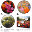 Cowboy Hat Flower Blooms - Cowboys, art mural-174991017-174991022