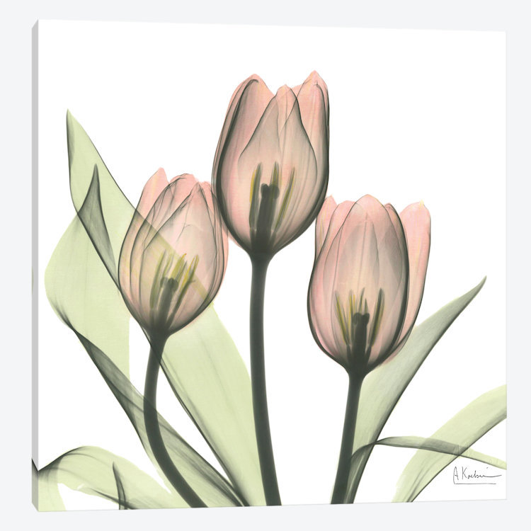 « tulipes i », impression sur toile, H 37 po x l 37 po x P 1,5 po, Toile tendue, Pas de tapis