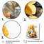 Jaune jonquille Gardn Beauty II - Jonquille, art mural-1309350118-1309350116