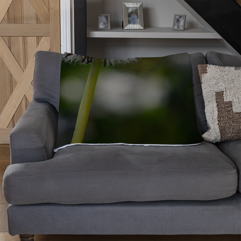Domnick Plain Weave / Muslin Throw Blanket