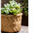 Pot Planter-1337045689