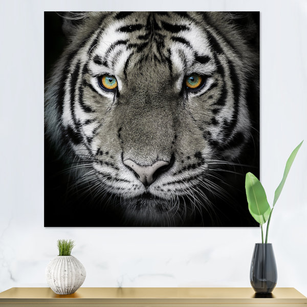 Blue Eyes Tiger Wall Art Canvas Painting Black White Tigers Canva