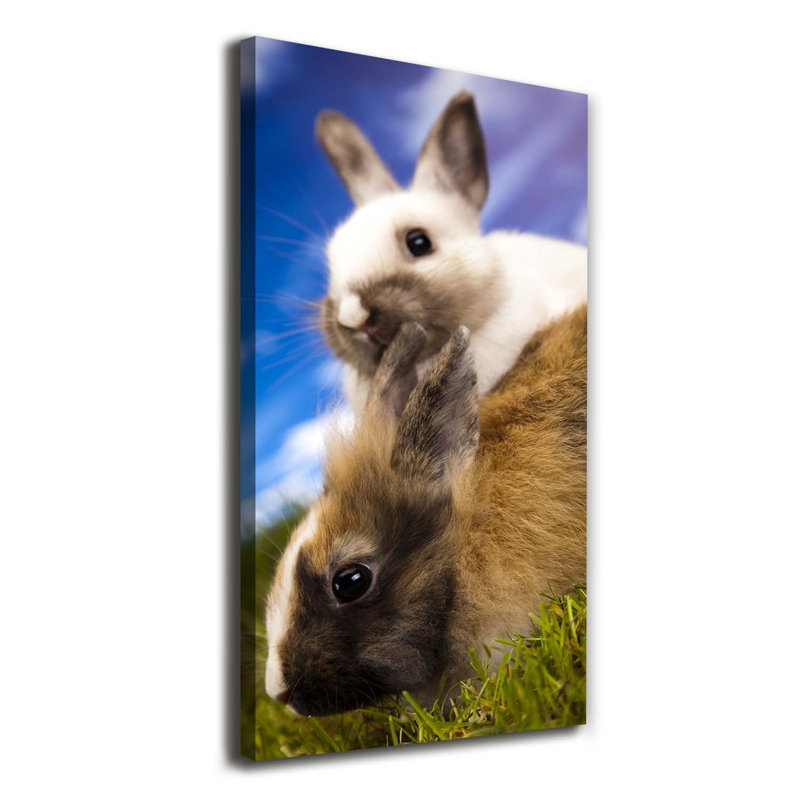 Two Rabbits - Wrapped Canvas Print