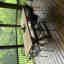 Customer photo 3 of 3