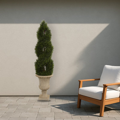 Pond Cypress Spiral Topiary Tree in Urn
