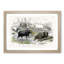 Hippopotamus and Rhinoceros by Oliver Goldsmith - Picture Frame Painting Print-55579970-55579969