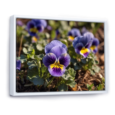 «Purple Yellow Pansies Harmony I» sur toile