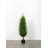 48'' Faux Cedar Tree in Pot