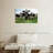 Brampt Holstein Cows-106300421