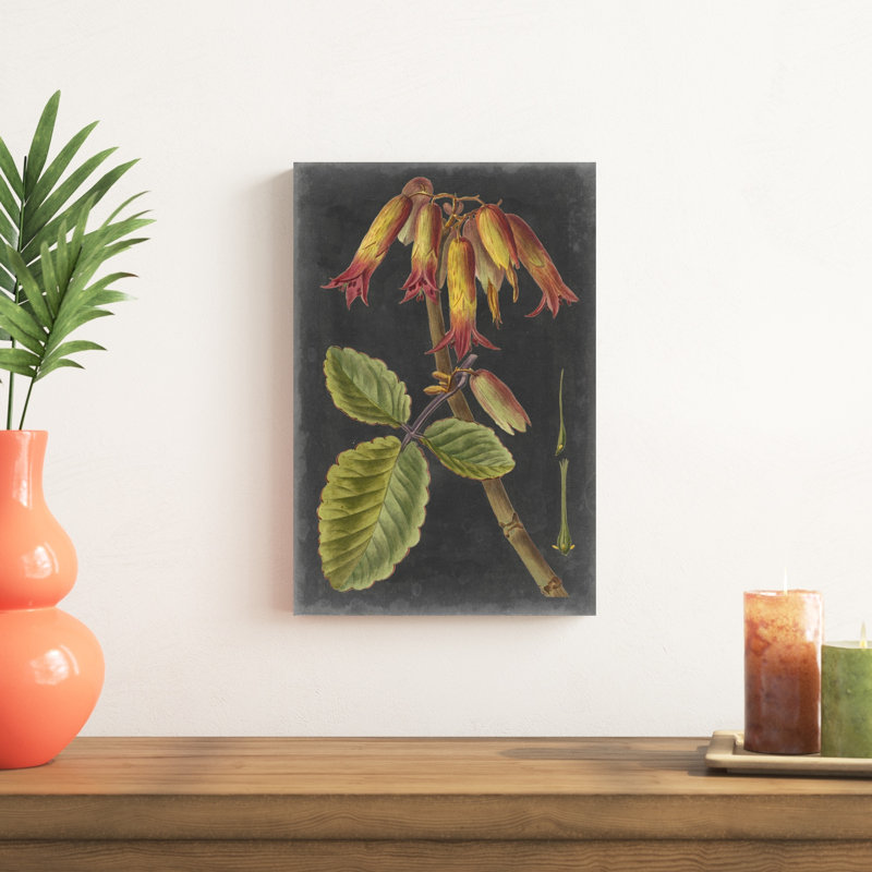 Dramatic Tropicals III, H 18 po x l 12 po x P 1,25 po