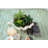 4.5'' Faux Succulent Plant in Cement Planter
