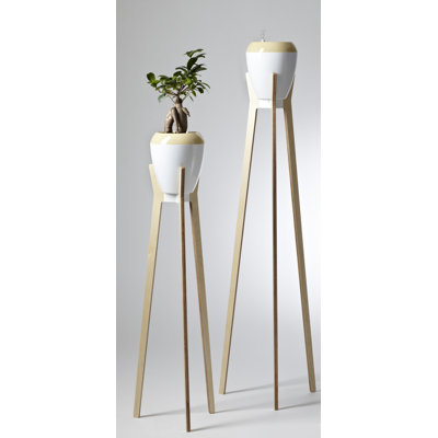Support pour plante Boabab