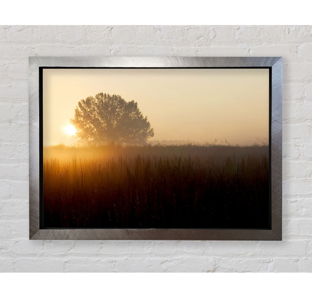 Yorkshire Dales Sonnenuntergang Nebel - Einzelner Bilderrahmen Kunstdrucke