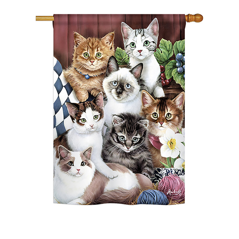 Drapeau de maison Mansel Cuddly Kittens, H 40 po x l 28 po