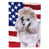 Caniche moyen blanc sélectionné