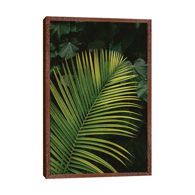 Tropical Hawaii II by Bethany Young - Print on Canvas