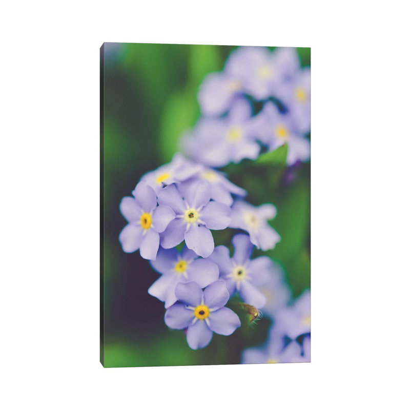 Fleeting by Olivia Joy StClaire - Wrapped Canvas Gallery-Wrapped Canvas Giclée, 30.48 cm H x 45.72 cm W