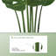 Plante artificielle 48 "Monstera-1809685258