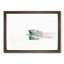 Polar Bear Swimming - Picture Frame Painting Print-55601699-55601698