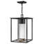 Hinkley Coen Hanging Lantern-519126406