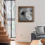 Renoncule foncé II - cadre photo-56897102-56897107-56949610