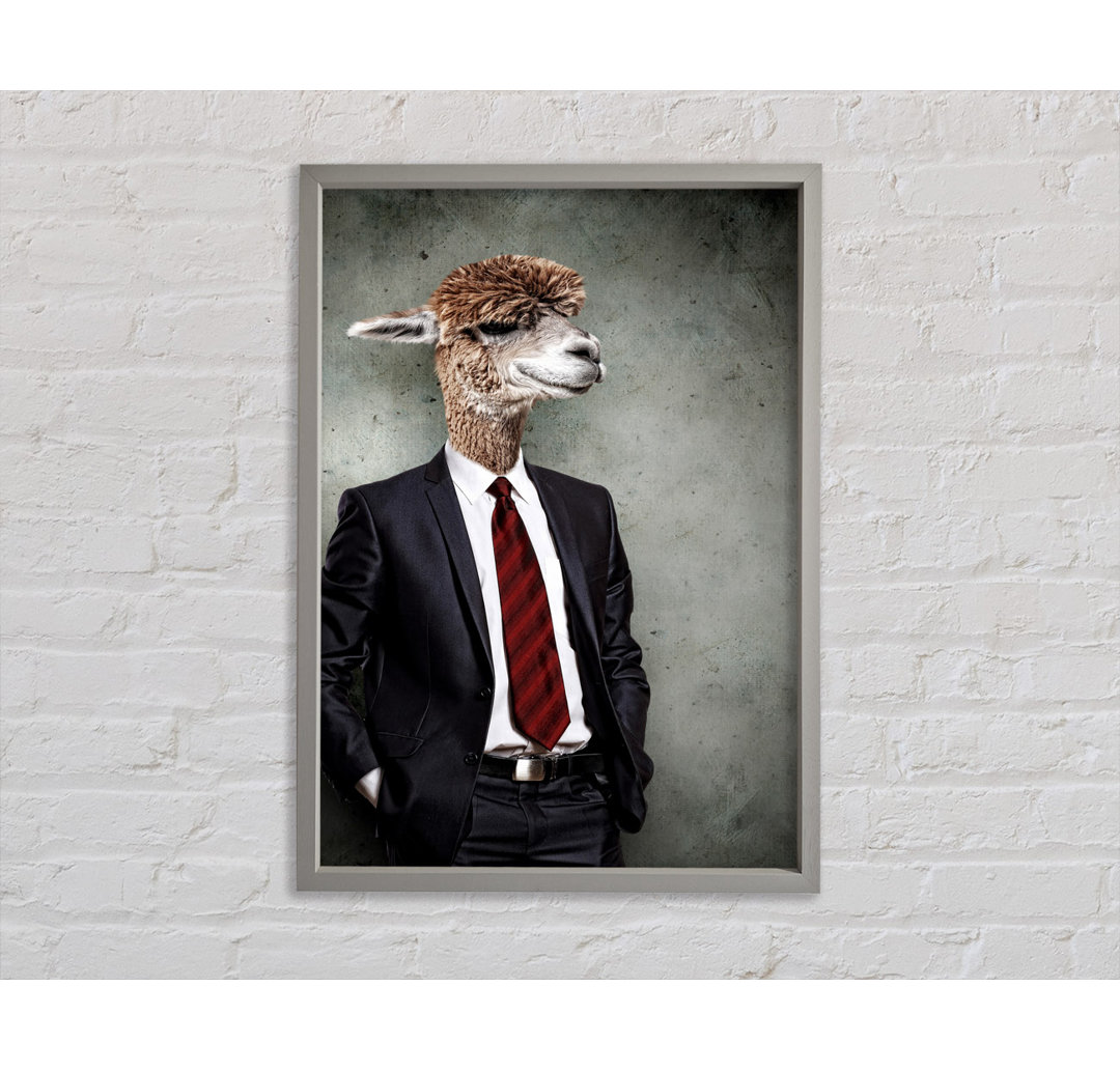 Business Llama - Einzelner Bilderrahmen Kunstdrucke auf Leinwand