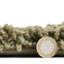 Porretto area rug Machine Woven Rectangle Olive-431746306
