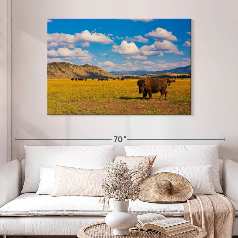 Bison dans le parc national, H 32 po x l 48 po