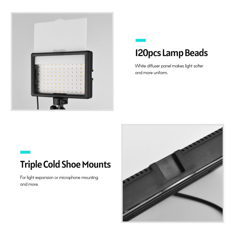 Plug-in Table Picture Light