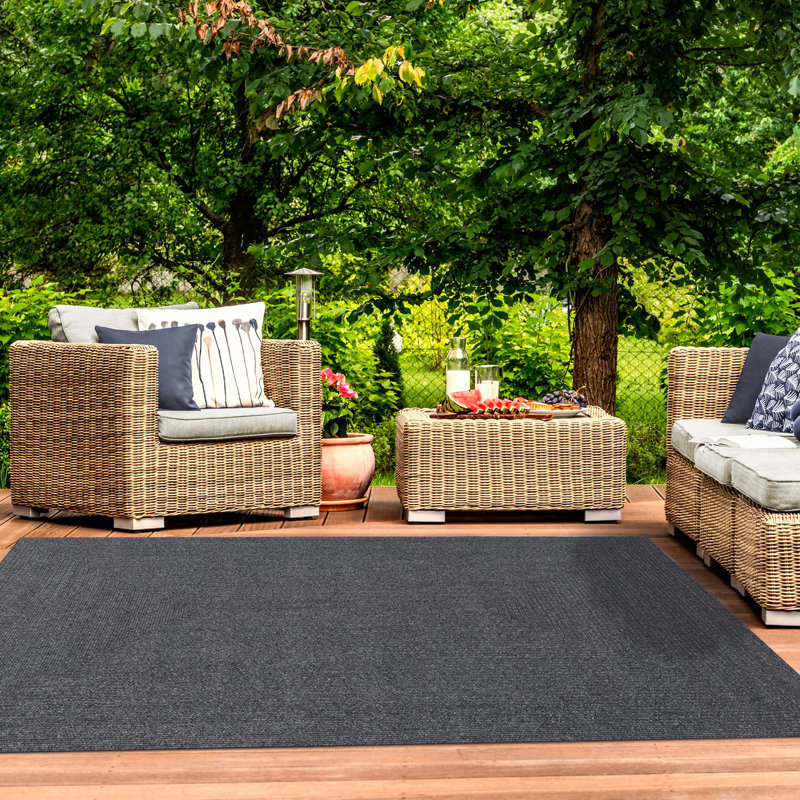Neufeld Braided Pattern Reversible Indoor/Outdoor Area Rug, Rectangle 4' x 6'