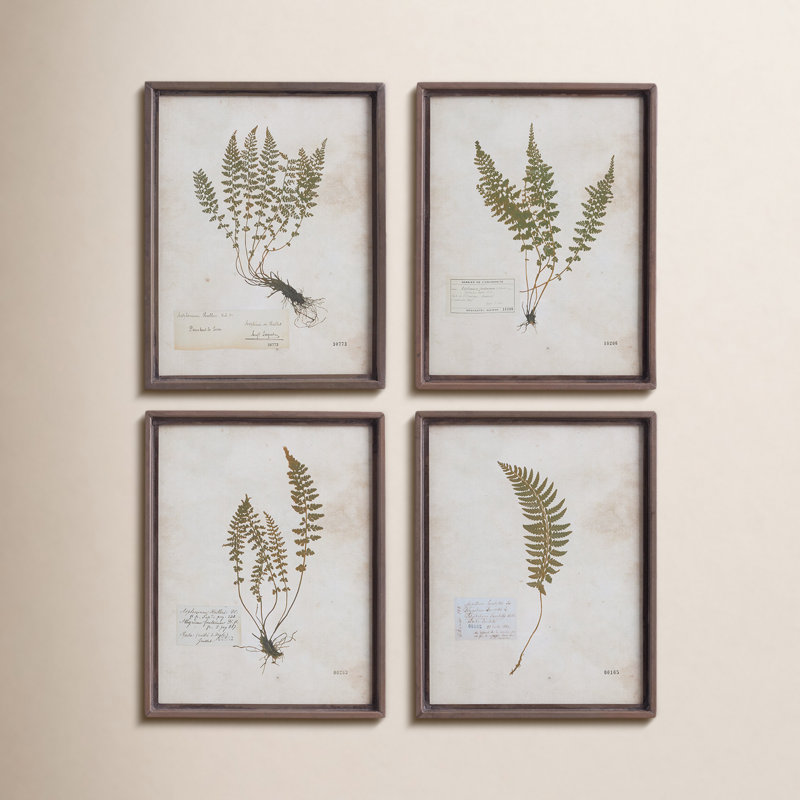 Lowery 'Petite Frond - 4 Piece Picture Frame Print Set on Paper