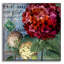  «Rouge from the garden 1» par Art Licensing Studio, art mural en verre acrylique, 36 po x 36 po-918154033
