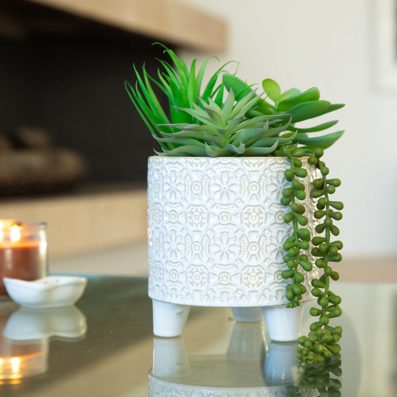 10.5'' Faux Succulent