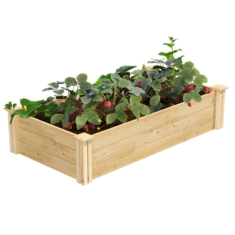 Classic Cedar Raised Garden Bed, 2' X 4' X 10.5" (1/2" Thick), 10.5" H x 48" W x 24" D