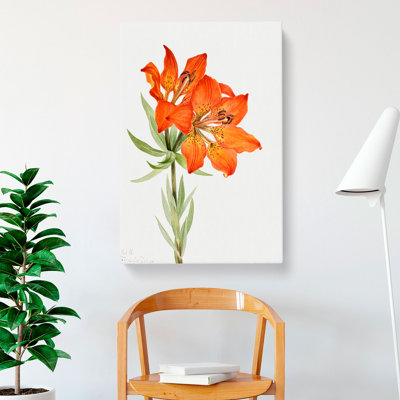 Red Lily by Mary Vaux Walcott - Wrapped Canvas Painting