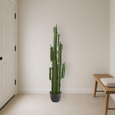 Cactus Artificial Plant