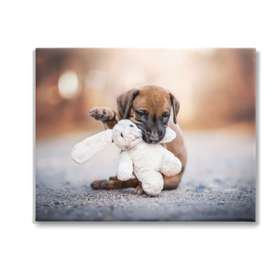 «Puppy With Plushie Toy», art mural par Natalie Grosse