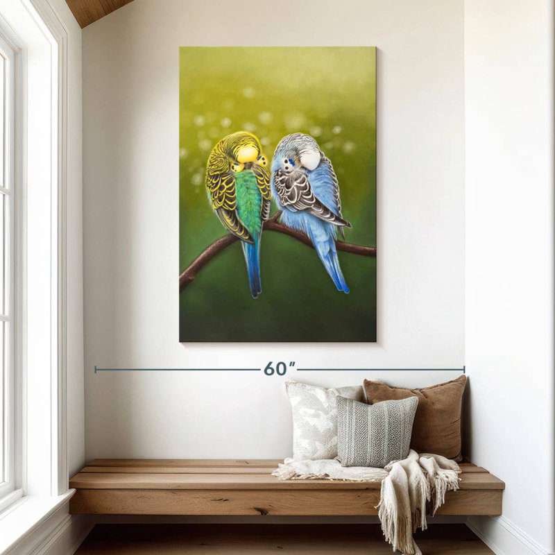 Budgie Siesta, H 48 po x l 32 po