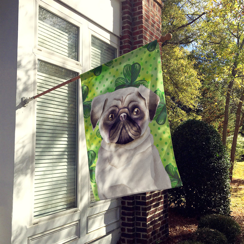 40 x 28 po en polyester à 2 côtés de la st patrick drapeau maison, Carlin blanc