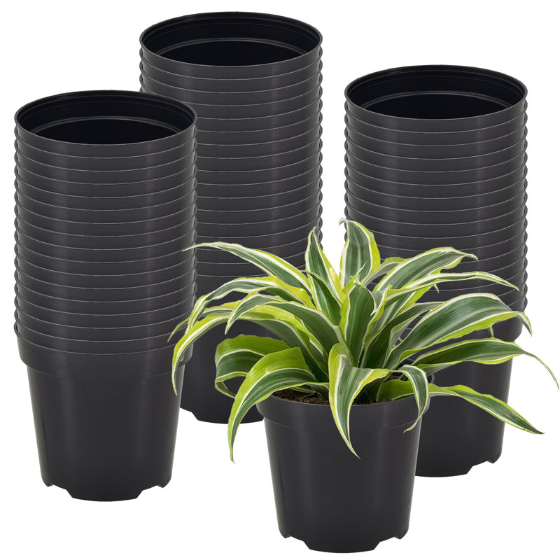 Kounain Nursery Pot, 250, 2.38" H x 3.13" W x 3.13" D