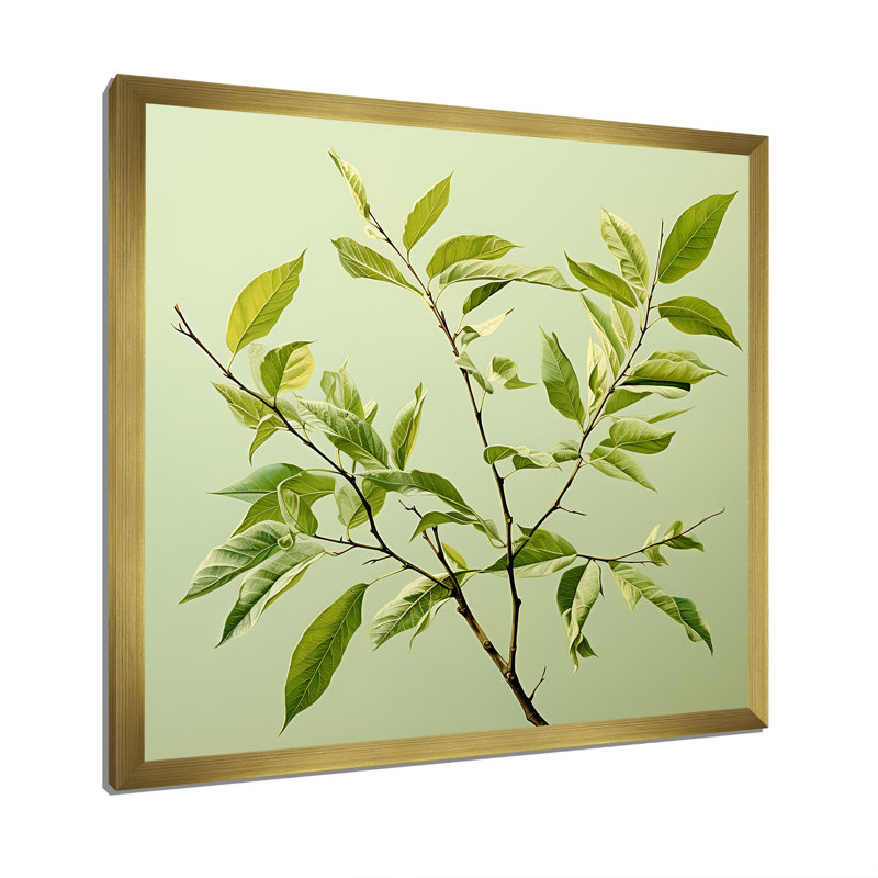 «Green Ferm Simple Collage I», reproduction sur toile, Cadre doré simple, H 24 po x l 24 po x P 1 po