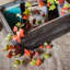 Branche de ivy rustique automne-1410847860