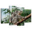 Ronce femelle portant un jeune koala-108894563