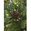 NORTHERN NOBEL - 7.5ft Christmas Tree wtih 8 Function Lights